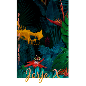 Play My Heart (Instrumental Dub)