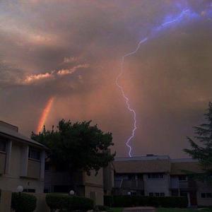 “开到茶蘼” emo' type