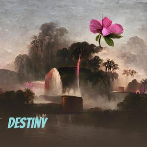 Destiny