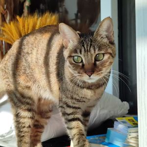 Never ever vanish 2 love