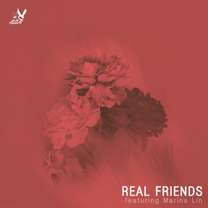 Real Friends (Guitar Acoustic)