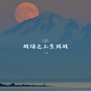 战场之上生死战