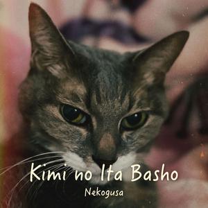 君のいた場所