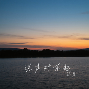 说声对不起（Cover 韩宝仪）