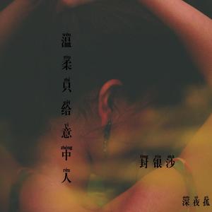 温柔只给意中人 (伴奏)