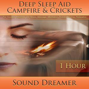 Campfire & Crickets (Deep Sleep Aid) [For Tinnitus, Insomnia, De-Stress, Massage, Meditation, Holistic Healing, Relaxation] [1 Hour]