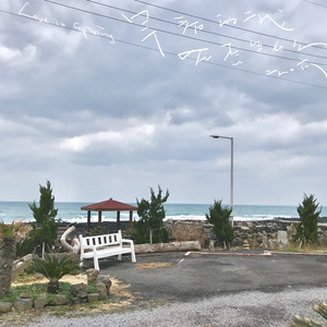 早春的我在想些什么