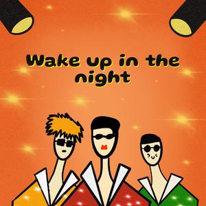 Wake Up In The Night