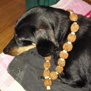 从你的名字开始（翻唱）