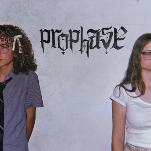 Prophase
