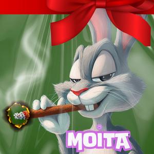 MEGA FUNK ELA JOGA NA HORA (feat. SILVA MC e MC TALIBÃ, MC Pogba e DJ Guih da ZO & MC Menor Kauan, DJ Bruninho PZS e DJ Mano Lost)