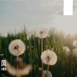 只想安静过己日子