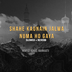 Shahe Kaunain Jalwa Numa Ho Gaya (Lofi-Mix)