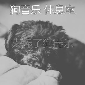 有趣小狗情怀