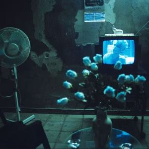 下一次爱情来的时候