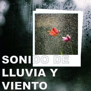 Lluvia Para Dormir