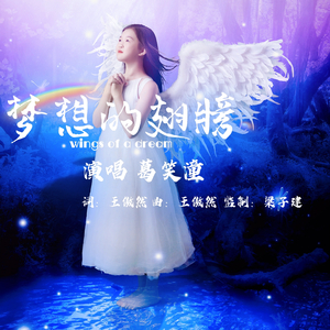 梦想的翅膀