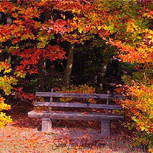 I Hope You're Doing Well