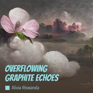 Overflowing Graphite Echoes