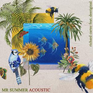 Mr Summer (feat. Searching For Sergio) (Acoustic)