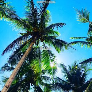 适合读庄严的音乐