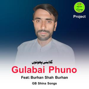 Gulabai Phuno (Shina Song) Burhan Shah Burhan