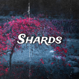 Shards (Original Mix)