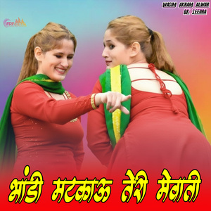भांडी मटकाऊ तेरी मेवाती