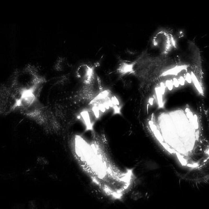 spartan 145 @ellislost @KoXxxine