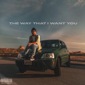 The Way That I Want You