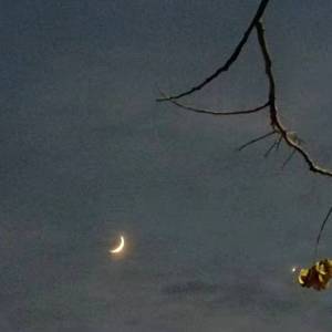 耿耿星河--麦可明