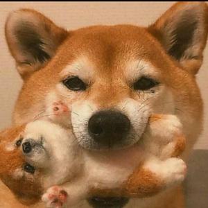 生日快乐
