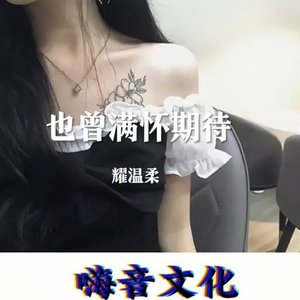 夜晚的浪人混音版