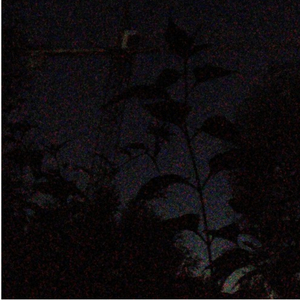 Dawn Approaches