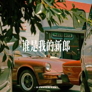 谁是我的新郎 (CityPop Male Ver.)