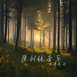 太阳雨 (纯音乐)