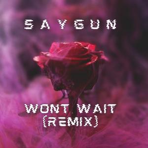 Wont Wait (Remix)
