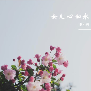 女儿心如水_01