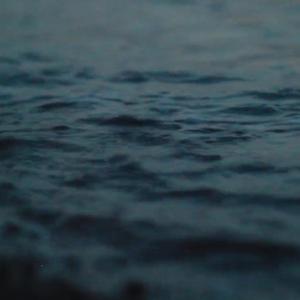 The Tide