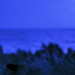 我爱你,你知不知道