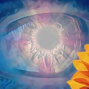 sunshine in your eyes