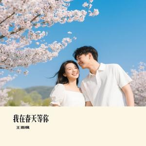 我在春天等你