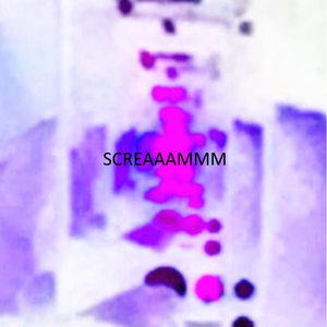 scream
