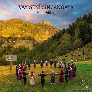 VAY SENİ SİNCANGAYA