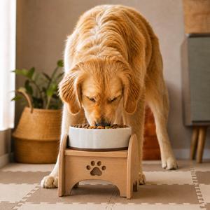 犬ごはんの幸せタイム