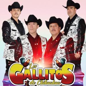 Chaparrita-Los Gallitos de Chihuahua (feat. Los Gallitos de Chihuahua)