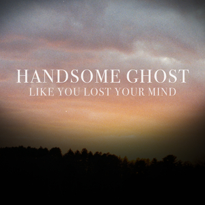 Like You Lost Your Mind