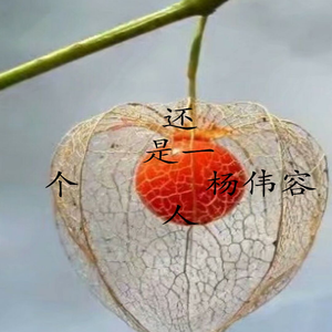 杨伟容 -终于还是一个人