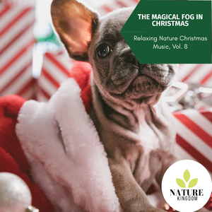 Euphonious Toad Trill