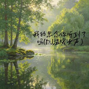 我的思念你听到了吗(DJ温柔女声)